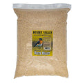 White Millet Proso Seeds V69300