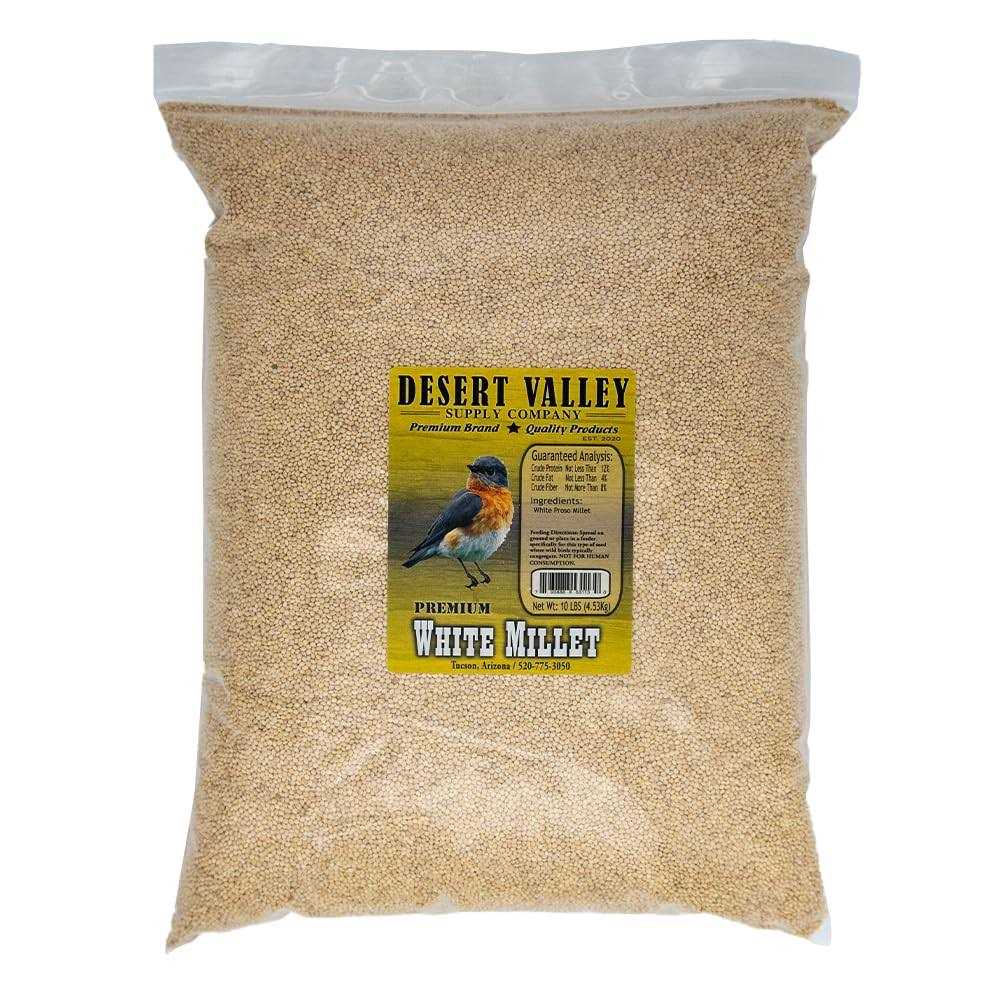 White Millet Proso Seeds V69300