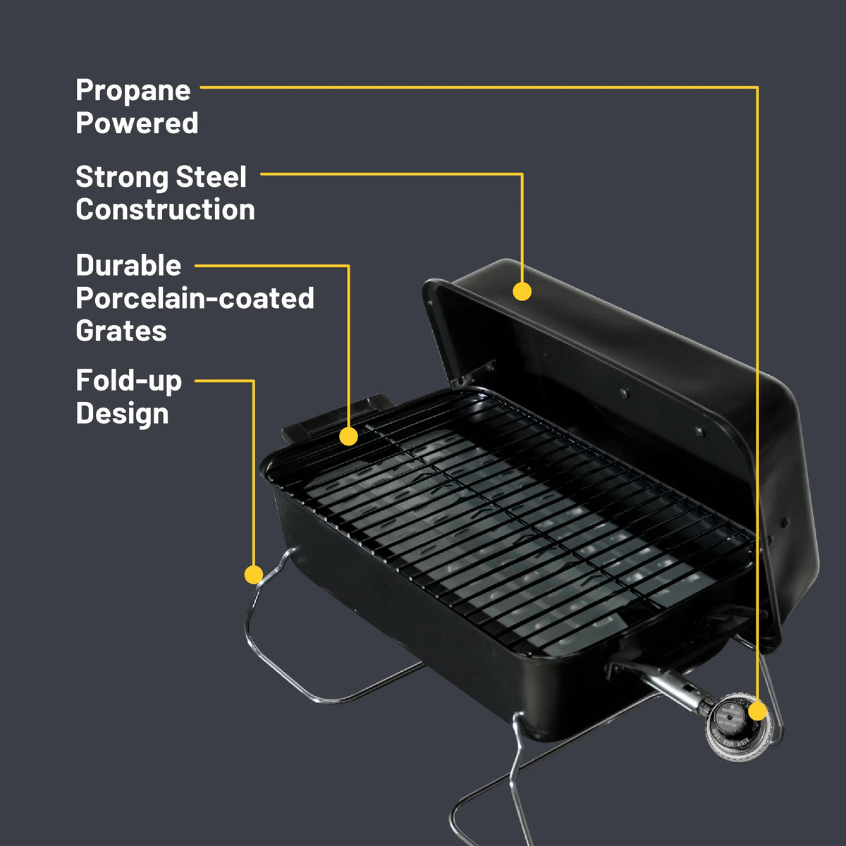 Portable Gas Grill Z8604