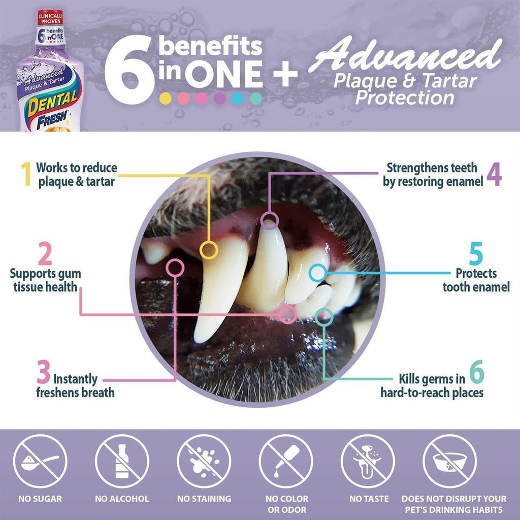 Advanced Plaque & Tartar Water Additive for Dogs U34303