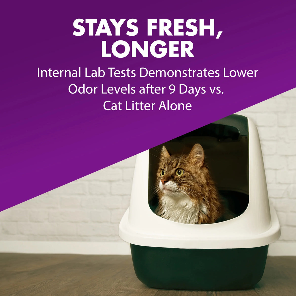 Cat Litter Deodorizer 30 oz F9914