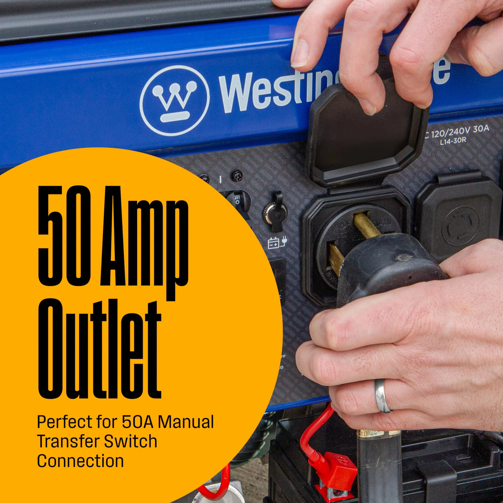 12,500 Peak Watt Dual Fuel Portable Generator U70798