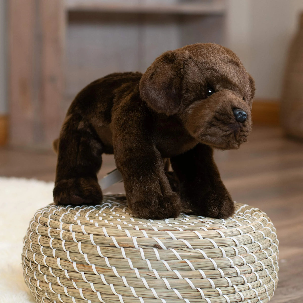 Plush Toy K71923