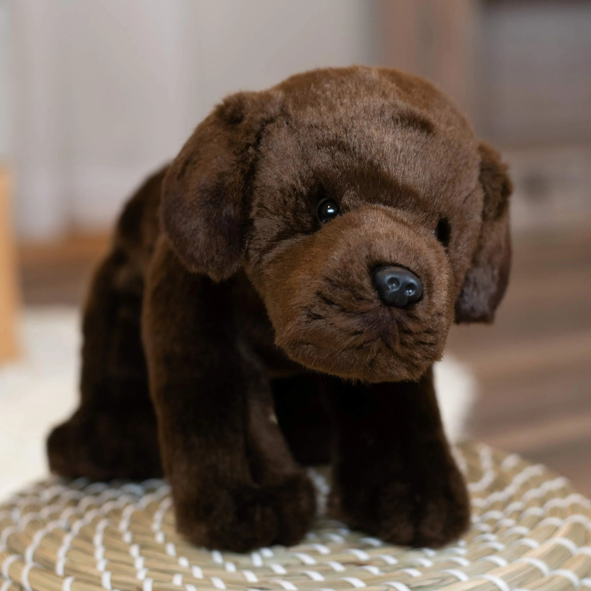 Plush Toy K71923