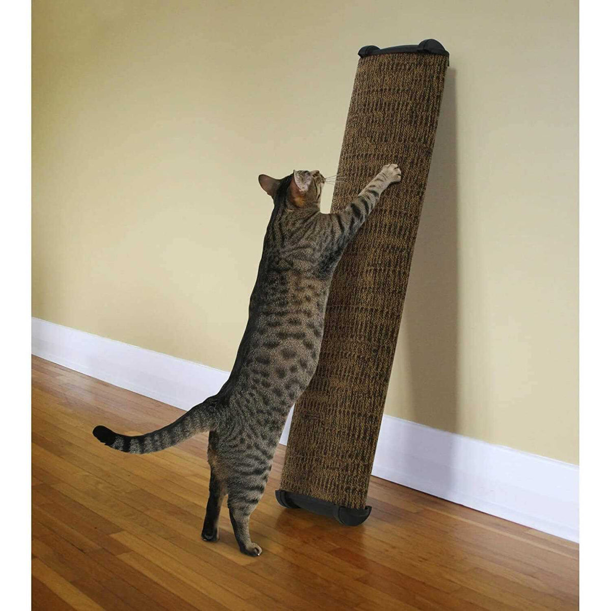 38 inch Scratch Post I795