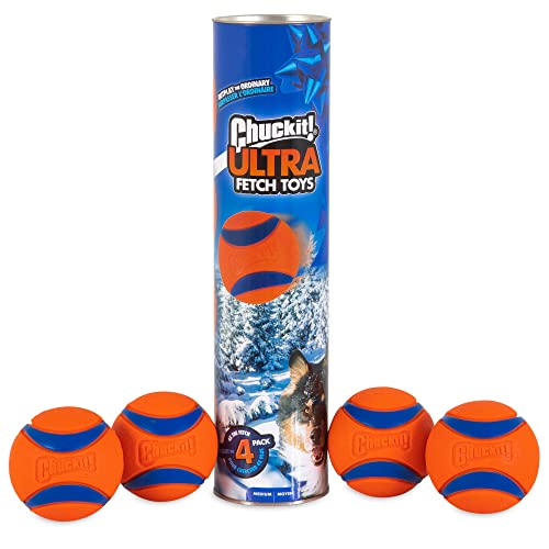 4 Pack Indestructible Rubber Dog Balls F293894