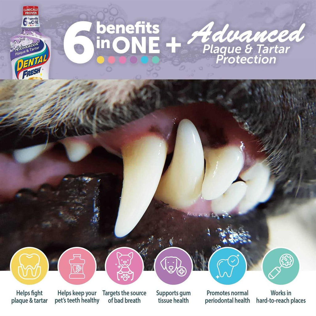 Dental Fresh Advanced Plaque and Tartar Water Additive for Dogs D764464