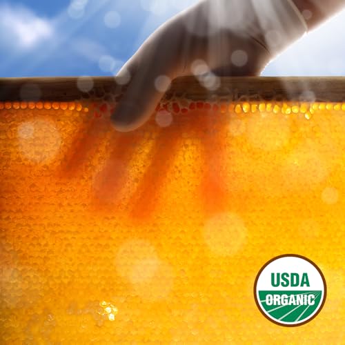Organic Clover Raw Honey, 186.72 Ounce Bulk Pail C99142