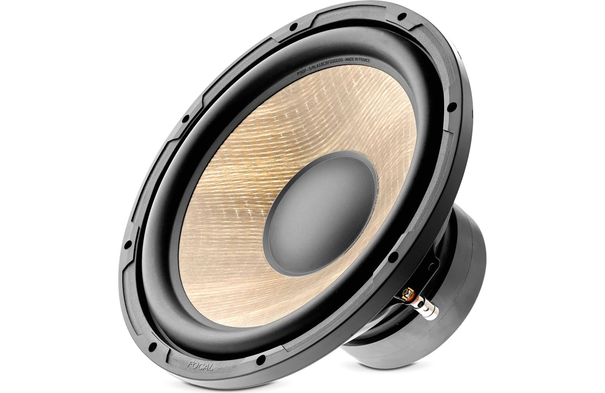 Car Subwoofer T842
