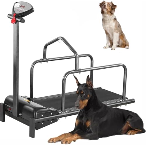 Indoor Dog Treadmill J68469