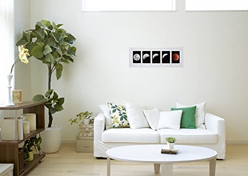 Black Gallery Picture Frame with Five 4x6 Openings Z34525