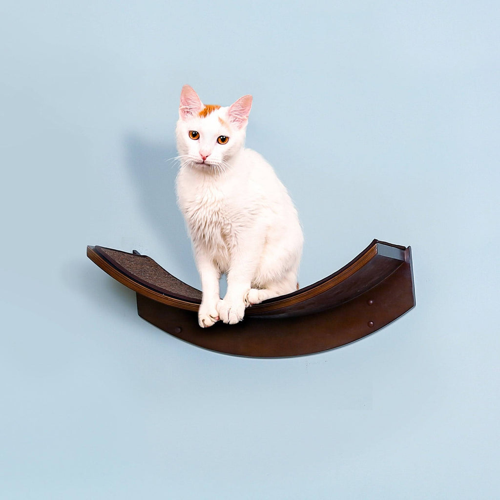 Refined Feline Lotus Leaf Cat Shelf S704442