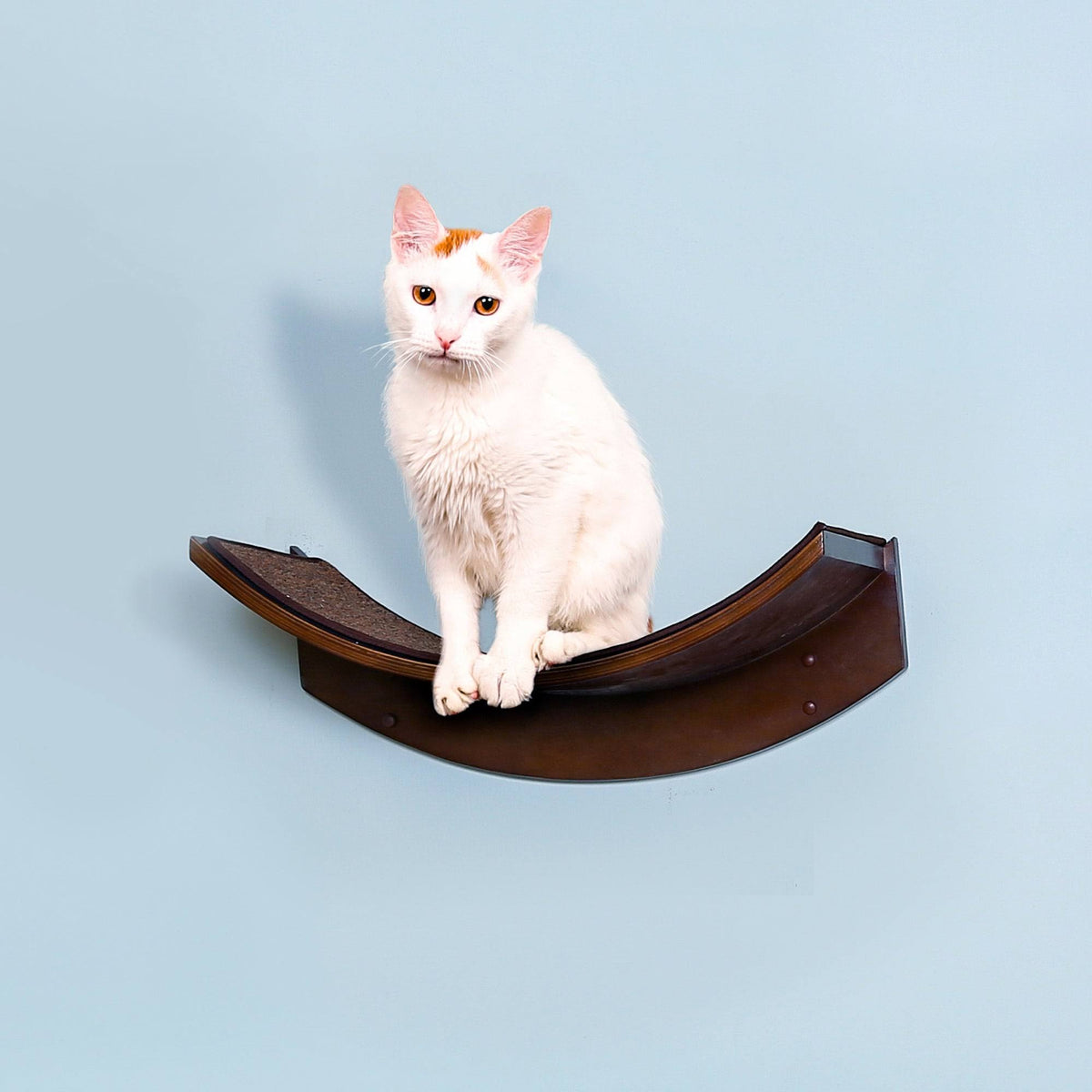 Refined Feline Lotus Leaf Cat Shelf S704442