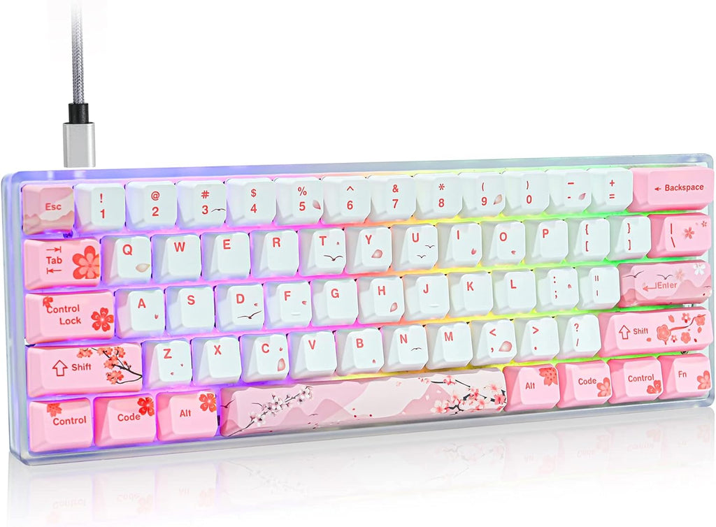 60% Hot Swappable RGB Mechanical Keyboard U169