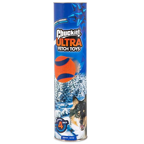 4 Pack Indestructible Rubber Dog Balls F293894