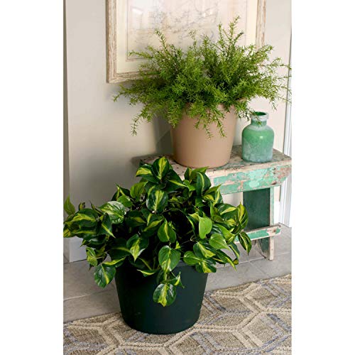 24 Inch Round Slate Blue Plastic Planter W74144