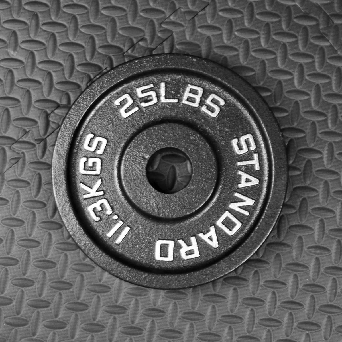 2.5lb Pair Steel Olympic Plates Y906615