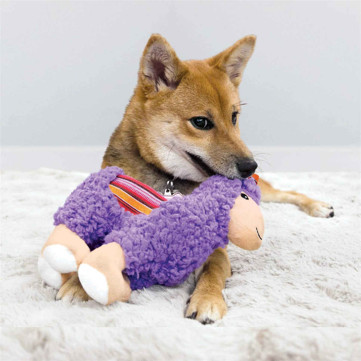 Donkey Dog Toy H508329