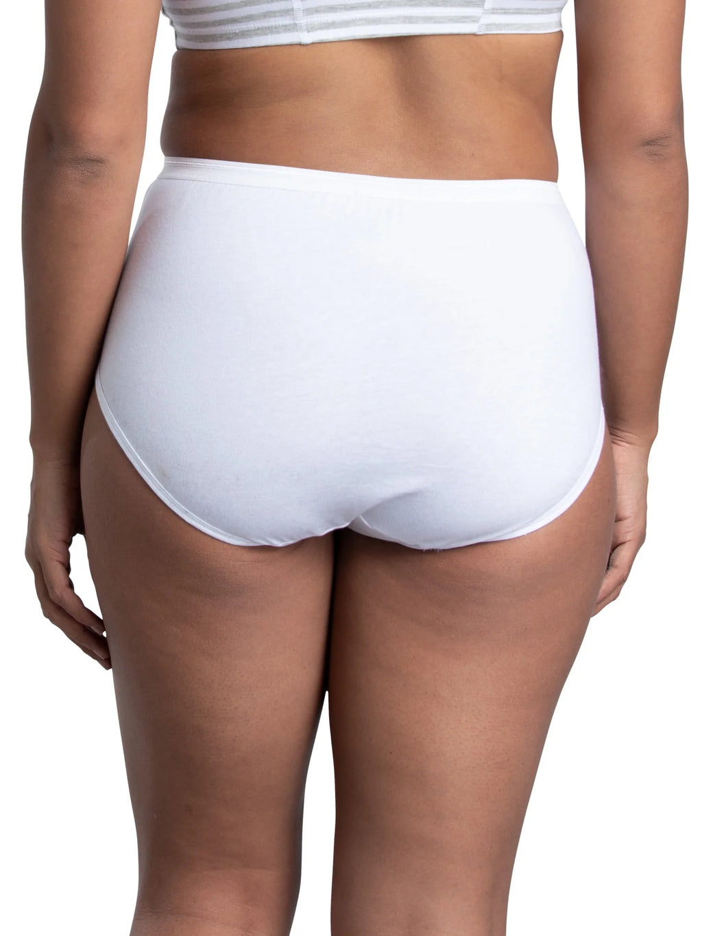 10 Pack Women's Brief Underwear B428