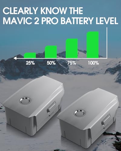 3850mAh 15.4V Intelligent Flight Battery 2-Pack X27317