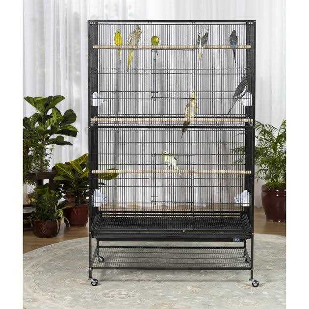 Bird Cage T105