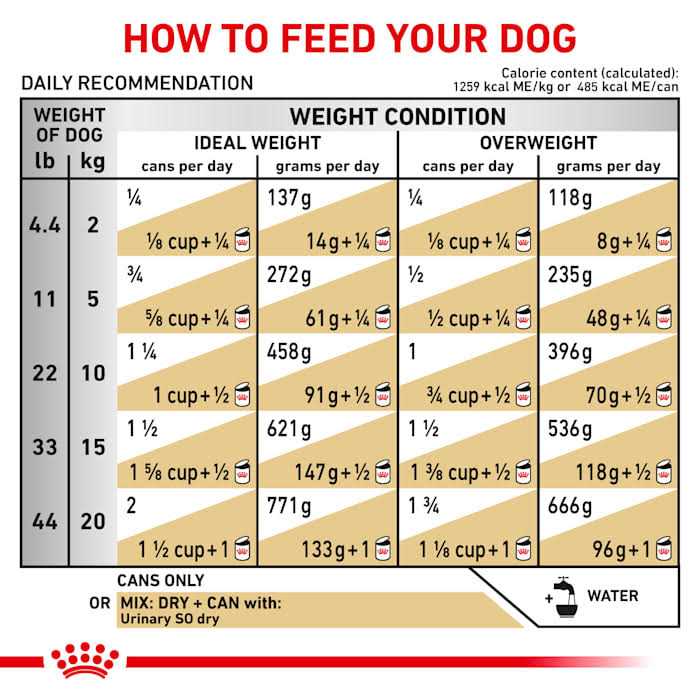 Veterinary Diet Urinary Dog Food W42456