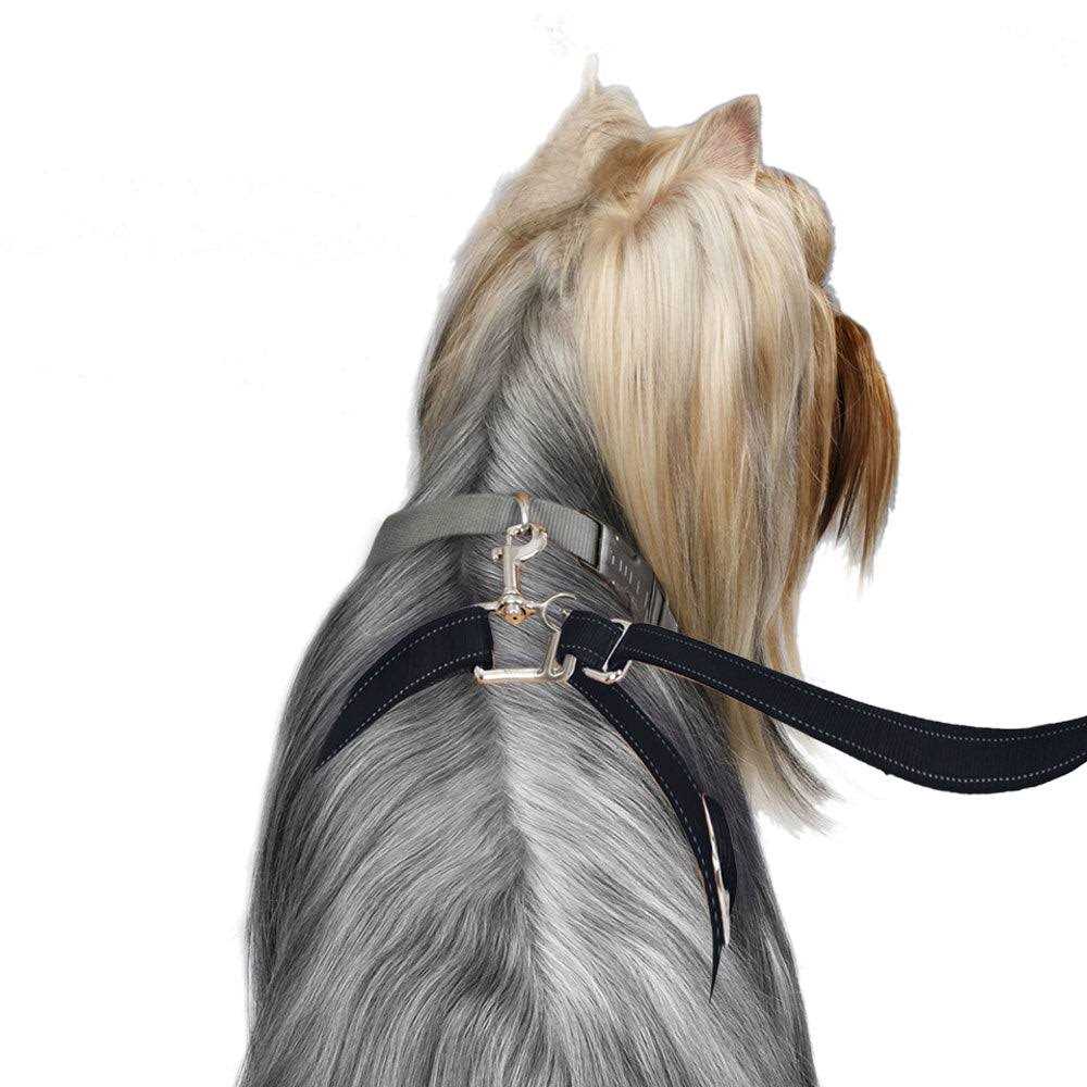 Dog Leash Z771