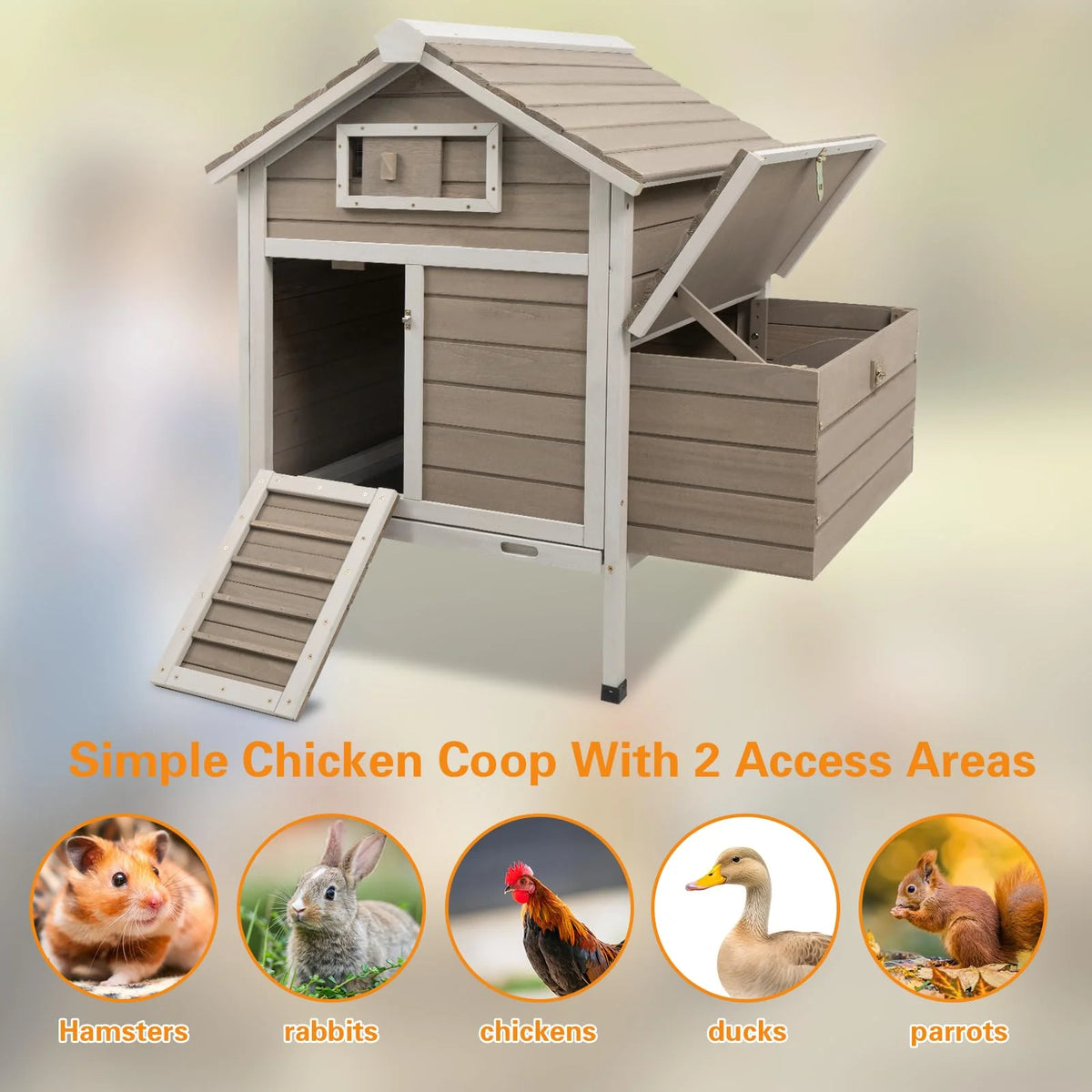 Grey Wooden Chicken Coop with Nesting Box and Ramp E92544
