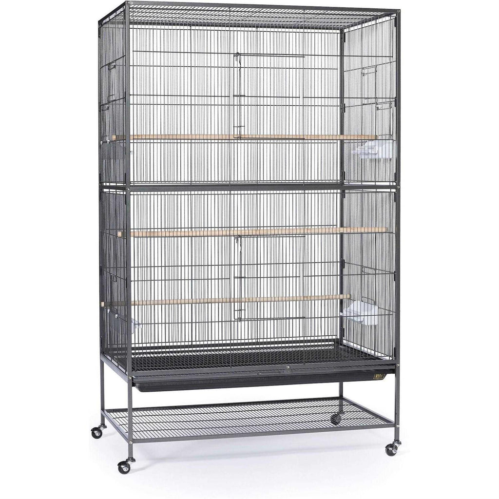Bird Cage T105