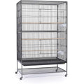 Bird Cage T105