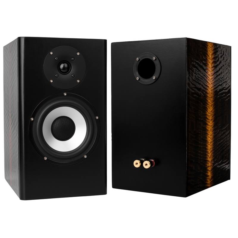 Studio Monitor Speaker Kit with Knock-Down Cabinet E61398