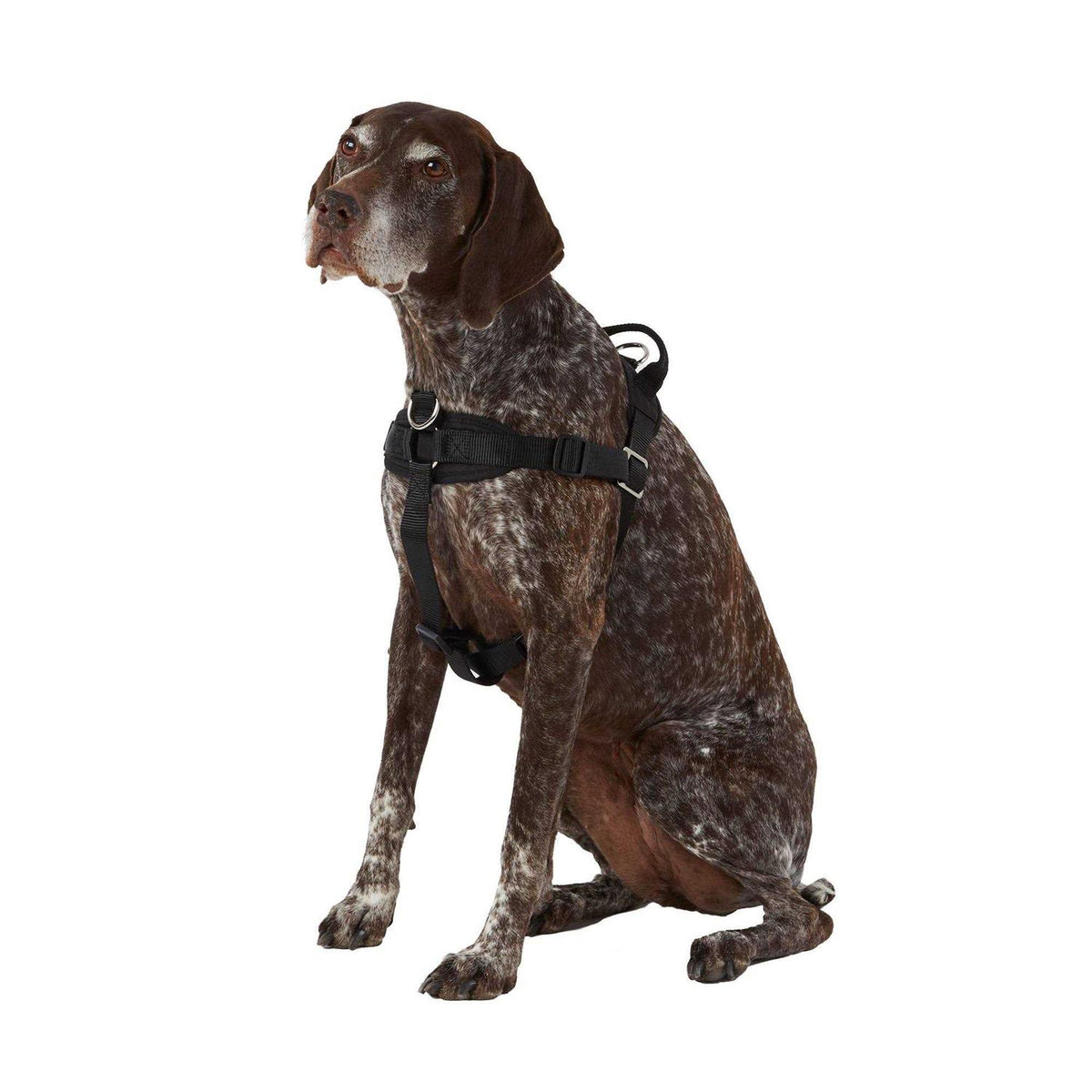 No Pull Dog Harness C984