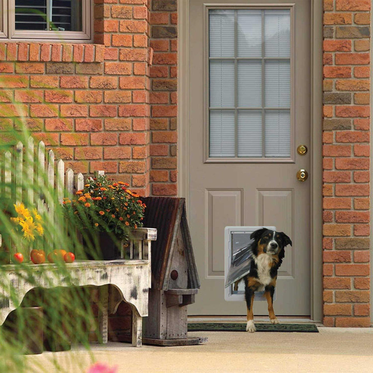 Pet Door Y927992