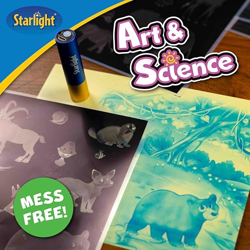 Light-Activated Paper Art Kit with UV Flashlight D6850