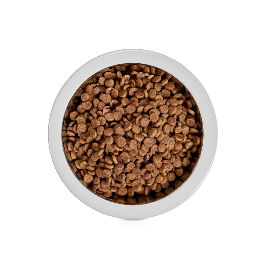 Stainless-Steel Grey Dog Bowl A7960