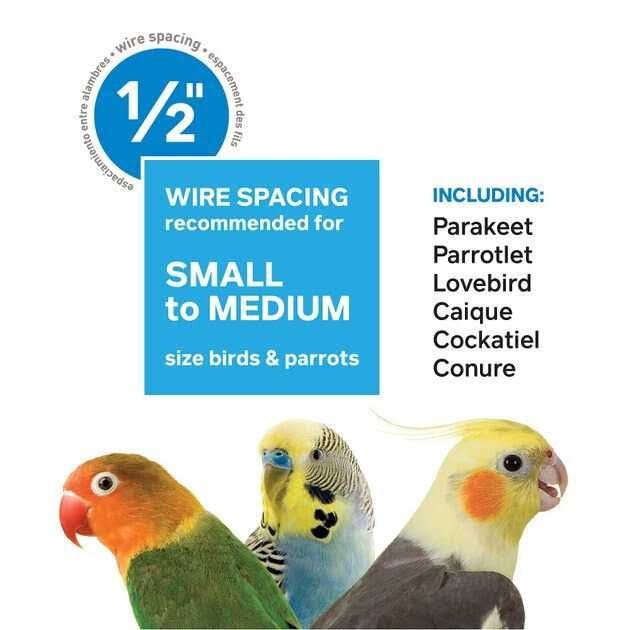 Bird Cage T105