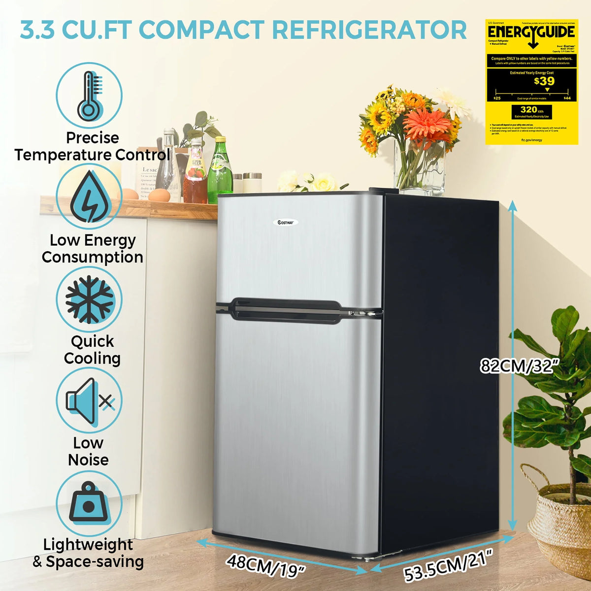 3.3 CU.FT. Compact Refrigerator with Freezer V6113