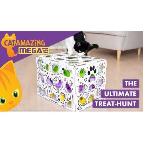 Cat Treat Puzzle Box L270780