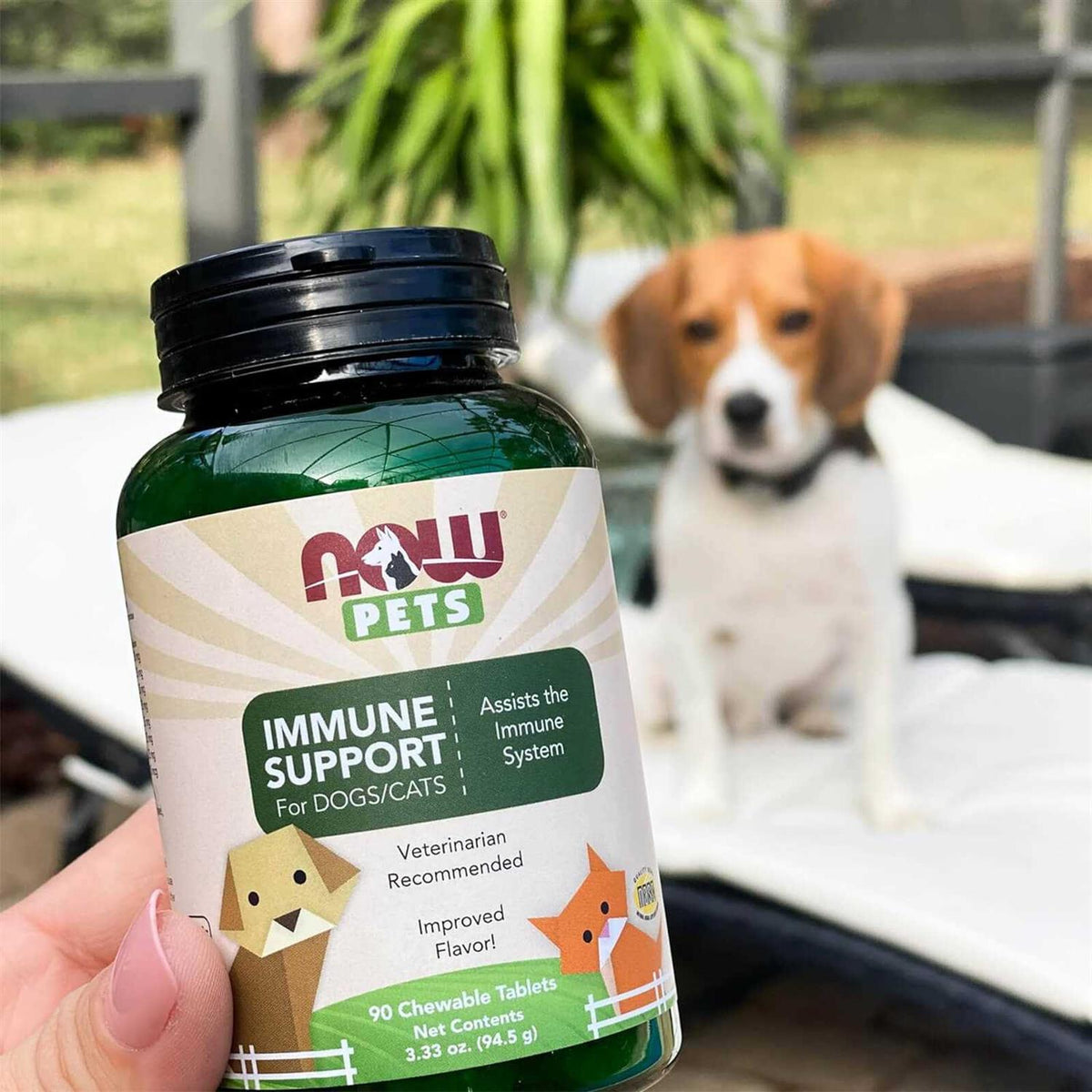 Immune Support for Dogs-Cats B4580