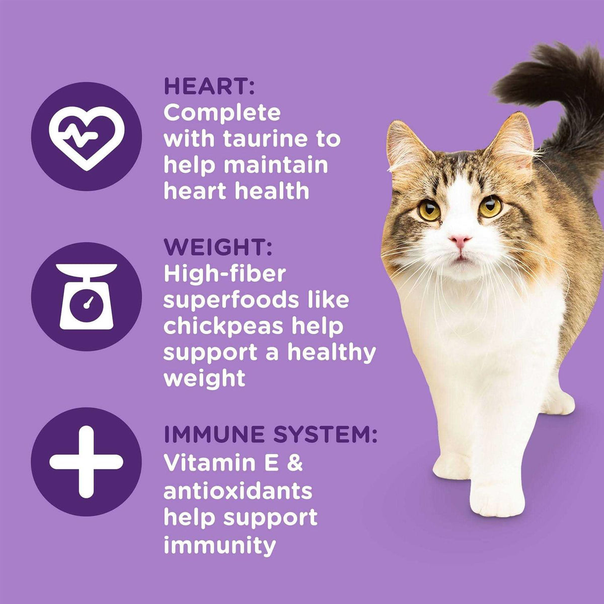 Dry Cat Food W990