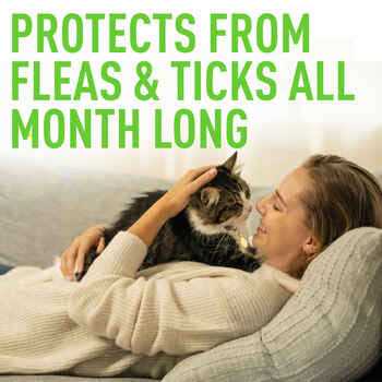 Credelio for Cats D270