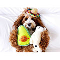 Avocado Dog Toy N645