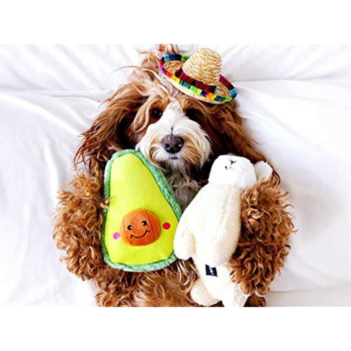 Avocado Dog Toy N645