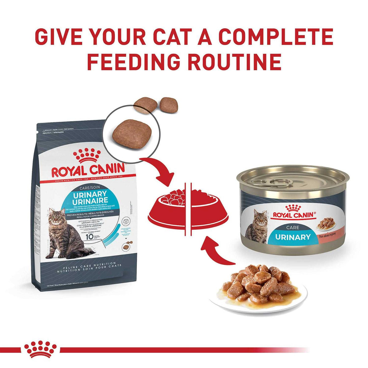 Wet Cat Food C467