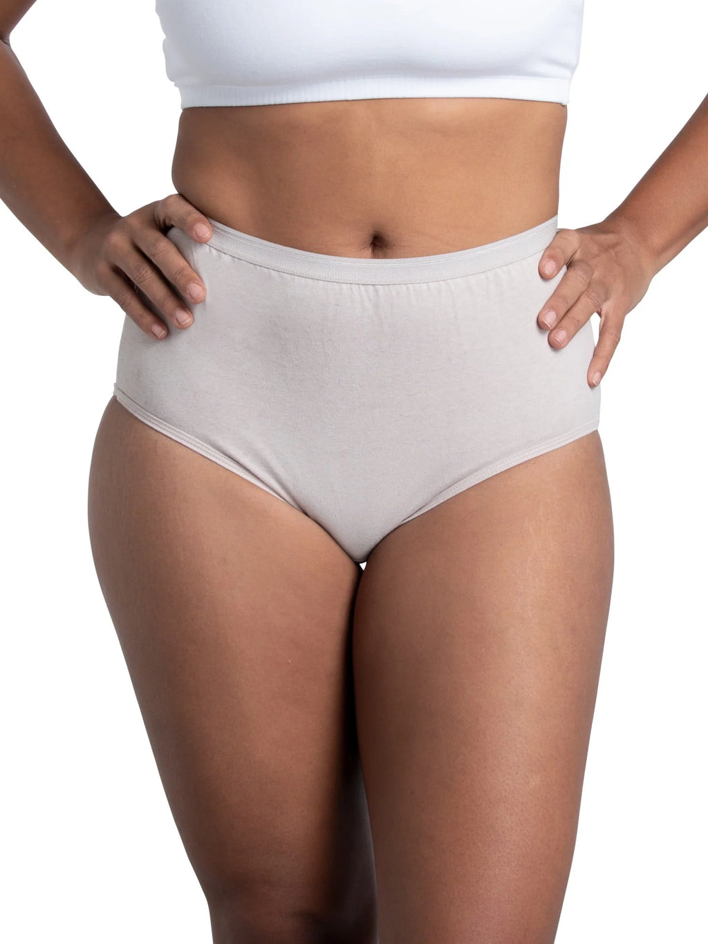 10 Pack Women's Brief Underwear B428