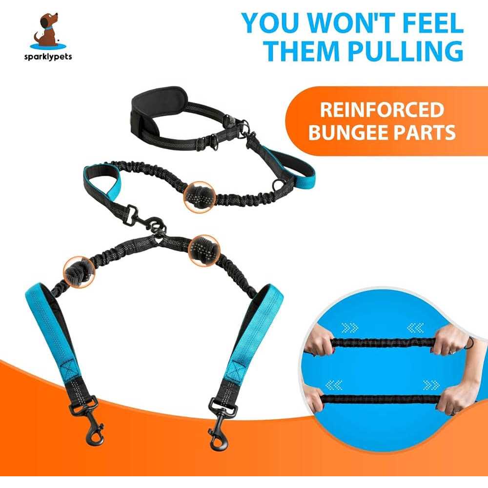 Hands Free Double Dog Leash N715412