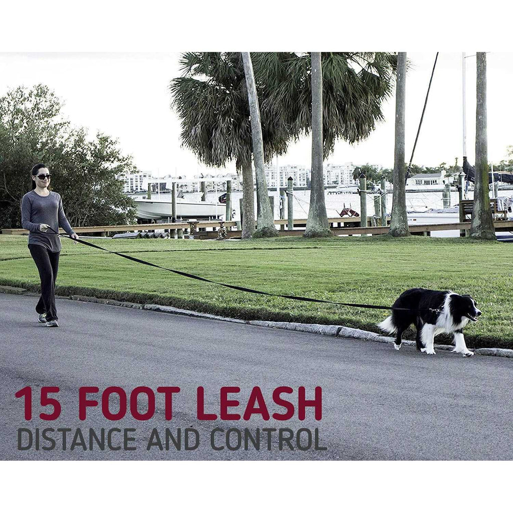 10 Foot Dog Leash with Padded Handle V1565