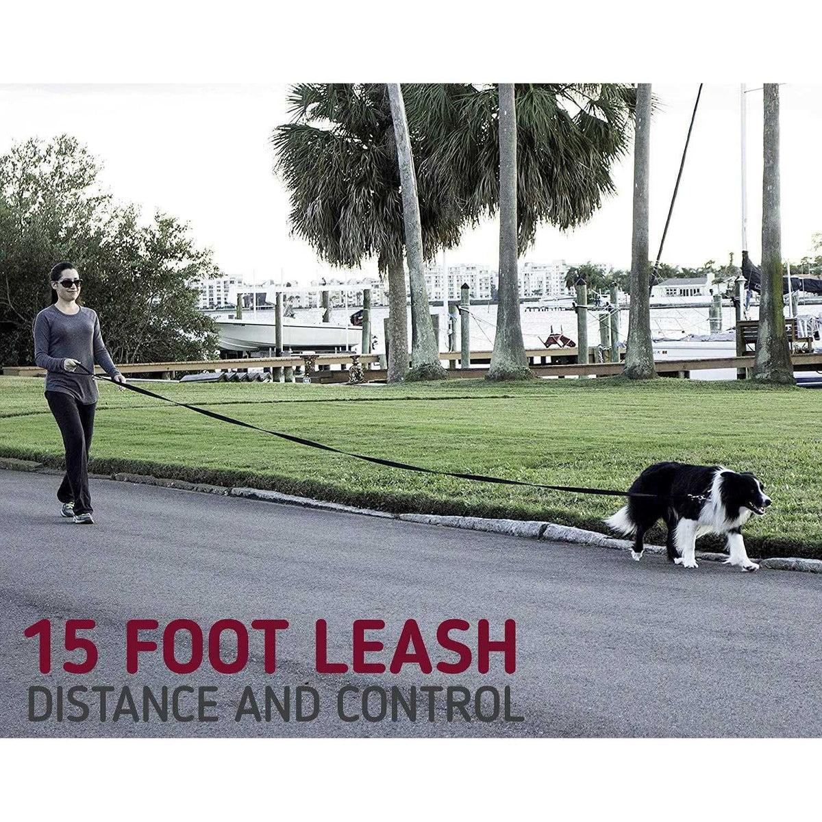 10 Foot Dog Leash with Padded Handle V1565