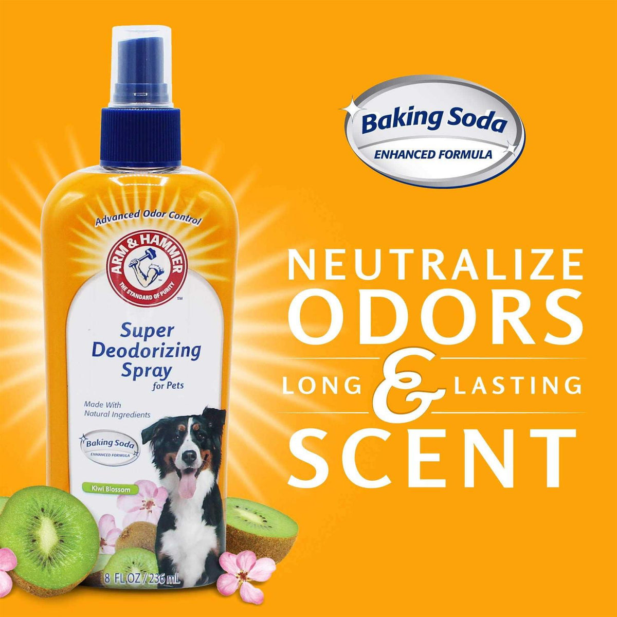 Deodorizing Spray for Dogs K2603