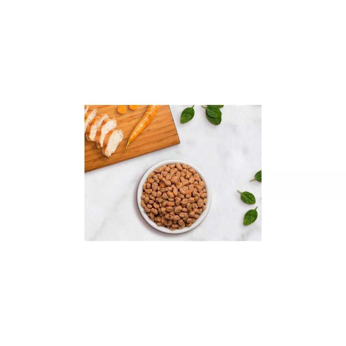 Chicken Recipe Dry Cat Food Q60271